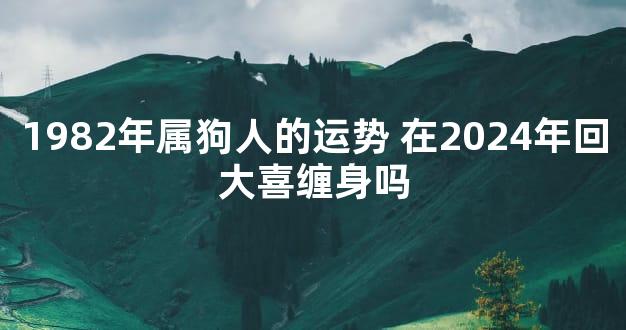 1982年属狗人的运势 在2024年回大喜缠身吗